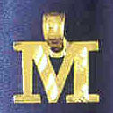 14K GOLD INITIAL CHARM - M #9570